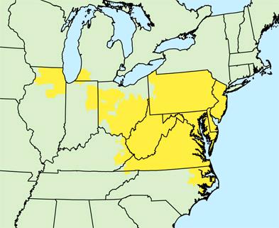 pjm territory